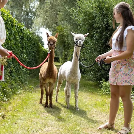Recreatiepark De Markplas Opheusden