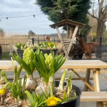 Recreatiepark De Markplas Campsite