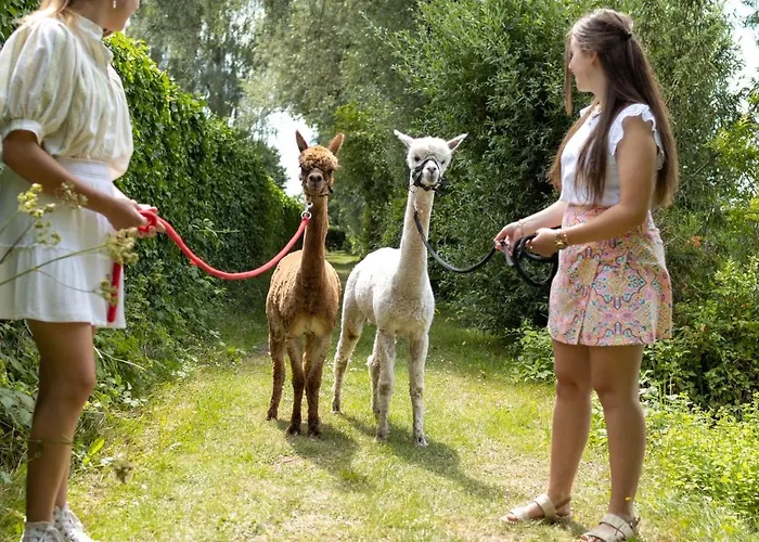 Recreatiepark De Markplas Opheusden