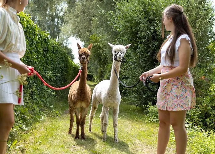 Recreatiepark De Markplas *