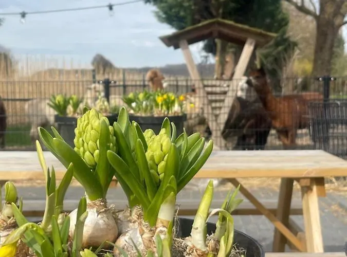 Recreatiepark De Markplas Kemping