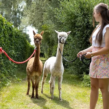 Recreatiepark De Markplas *