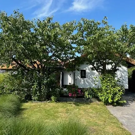 Recreatiepark De Markplas 캠프장